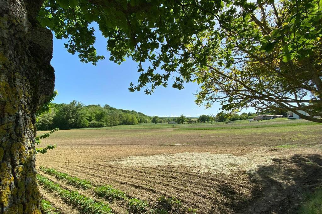 Gite Du Mercadal Les Pujols Pamiers Exterior foto