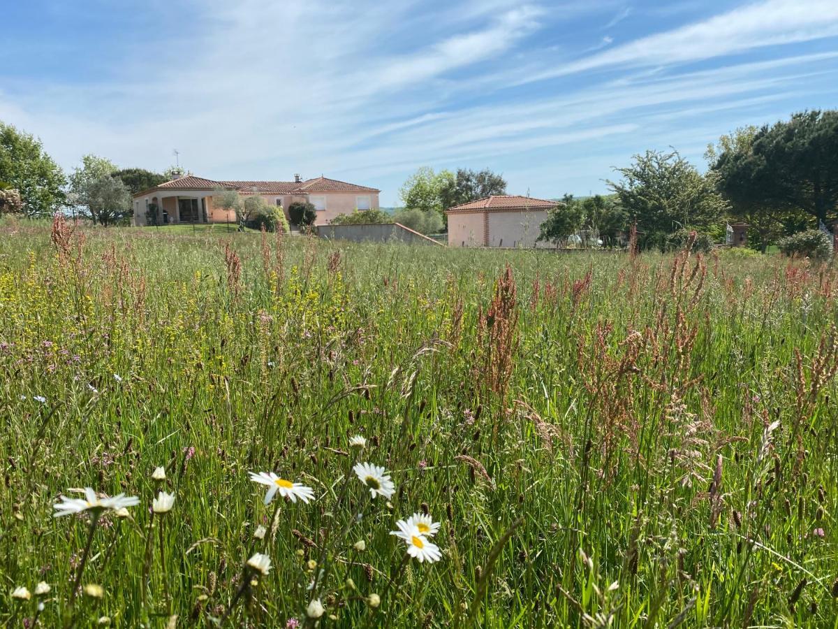 Gite Du Mercadal Les Pujols Pamiers Exterior foto